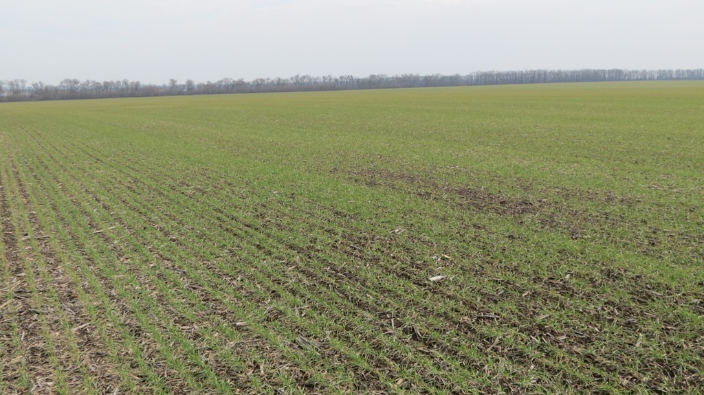 IMG 5330