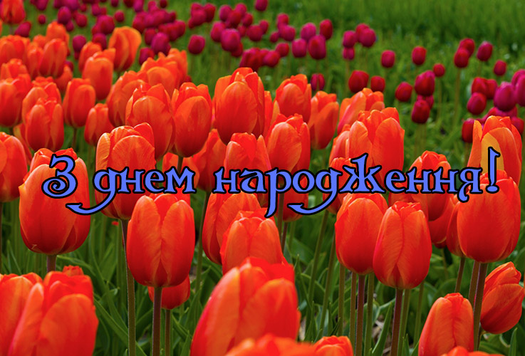 715