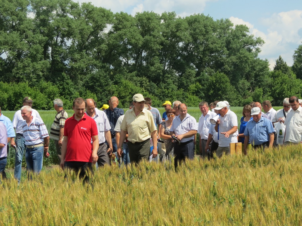 9 IMG 4418