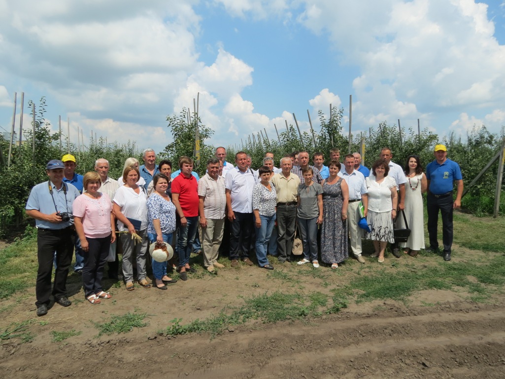 12 IMG 4584