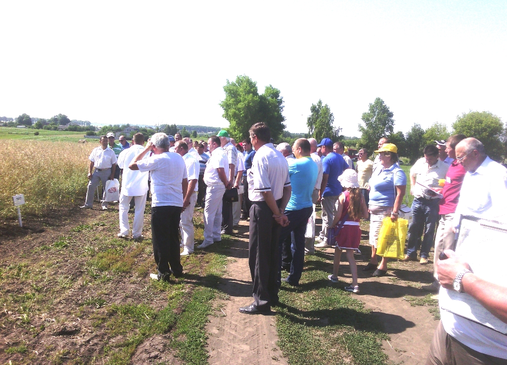 IMG 20150703 103611