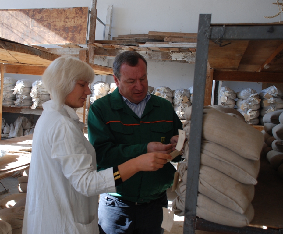 DSC 7335